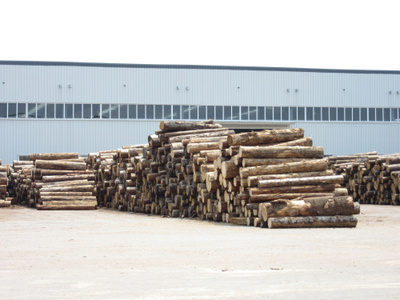 新佳木业|建筑木材加工厂|建筑木材报价